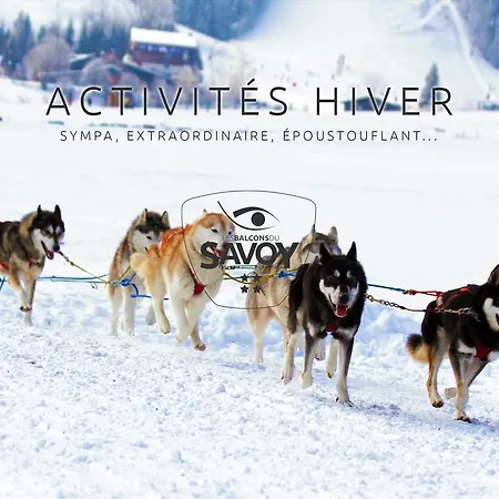 Les Balcons Du Savoy Chamonix